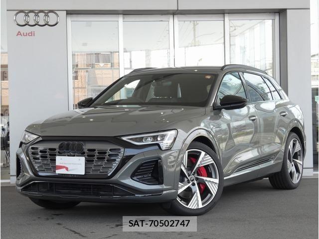 Audi E-TRON 2025-03 8206419-0