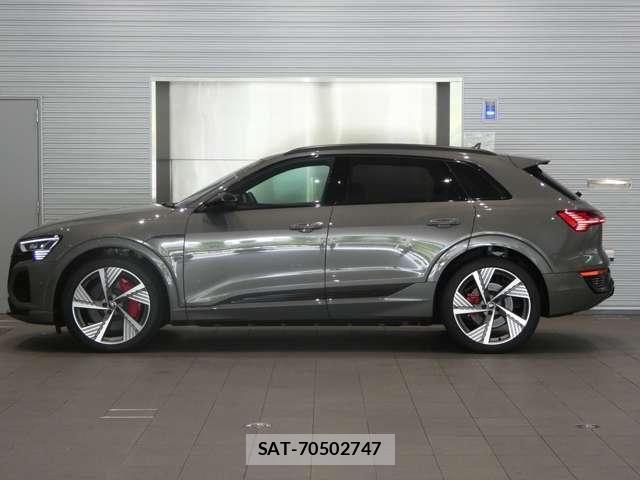 Audi E-TRON 2025-03 8206419-9
