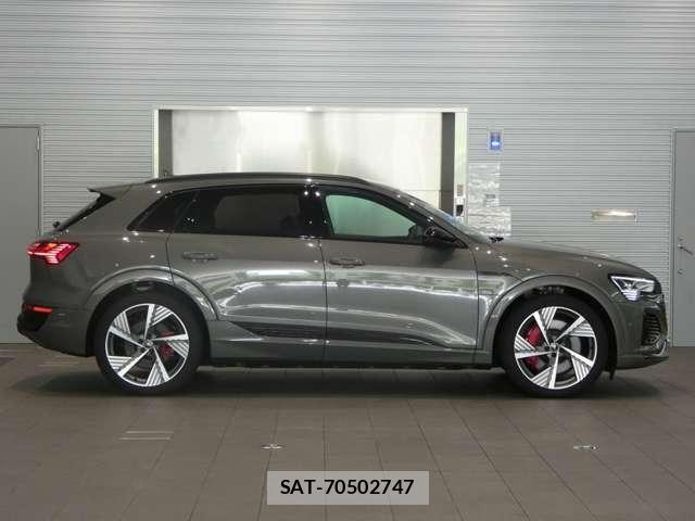 Audi E-TRON 2025-03 8206419-10