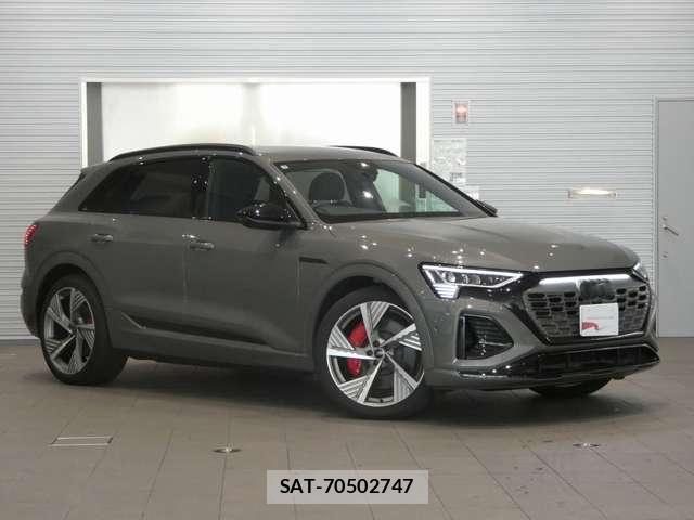 Audi E-TRON 2025-03 8206419-11