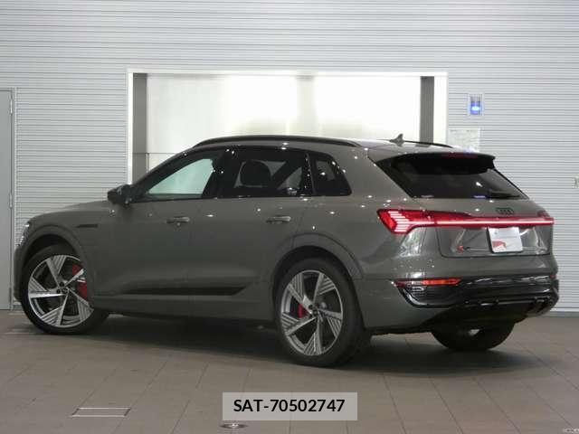 Audi E-TRON 2025-03 8206419-5