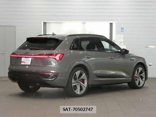 Audi E-TRON 2025-03 8206419-6