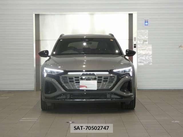 Audi E-TRON 2025-03 8206419-7