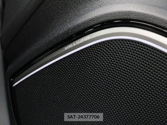 Audi RS3 SPORTBACK 2020-12 2114090-10