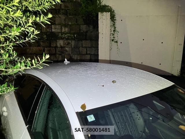 Audi S7 2022-05 7978568-1