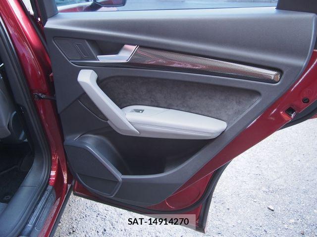 Audi SQ5 2018-04 1542716-21