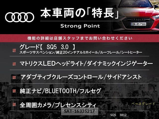 Audi SQ5 2021-08 8072926-2