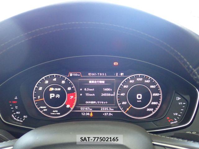 Audi SQ5 2018-12 8157998-11