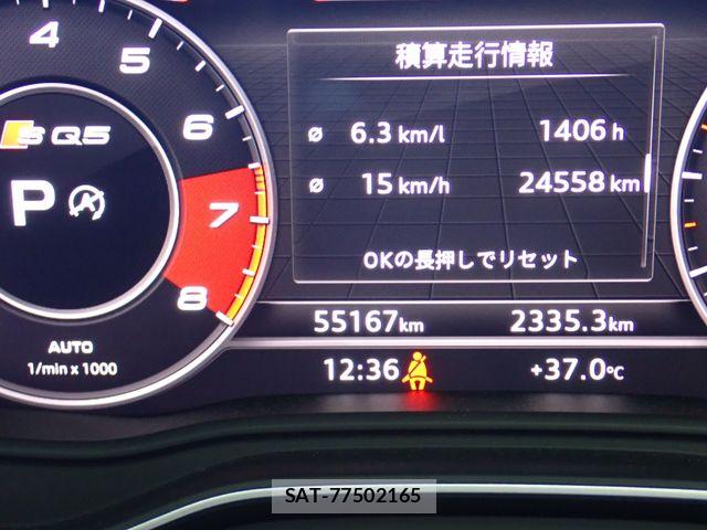 Audi SQ5 2018-12 8157998-12