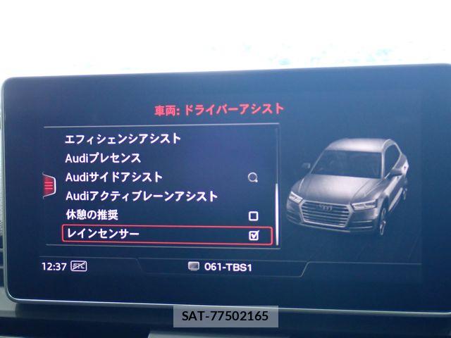 Audi SQ5 2018-12 8157998-17