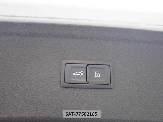 Audi SQ5 2018-12 8157998-23