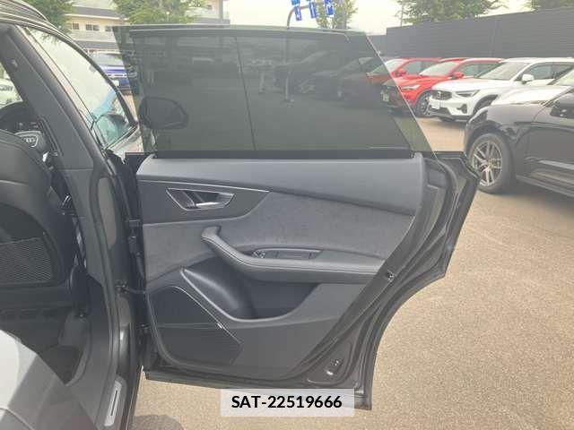 Audi Q8 2024-11 7875377-19