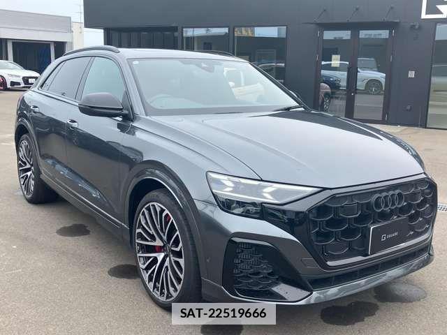 Audi Q8 2024-11 7875377-2