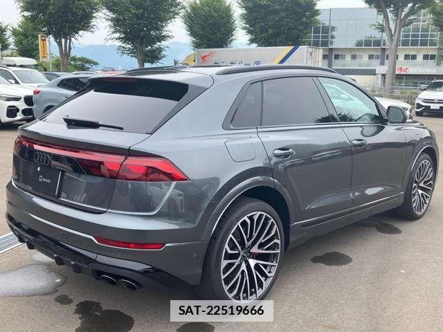 Audi Q8 2024-11 7875377-3