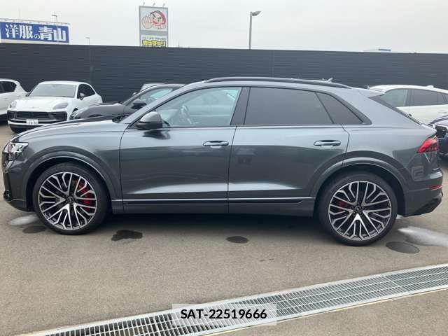 Audi Q8 2024-11 7875377-7
