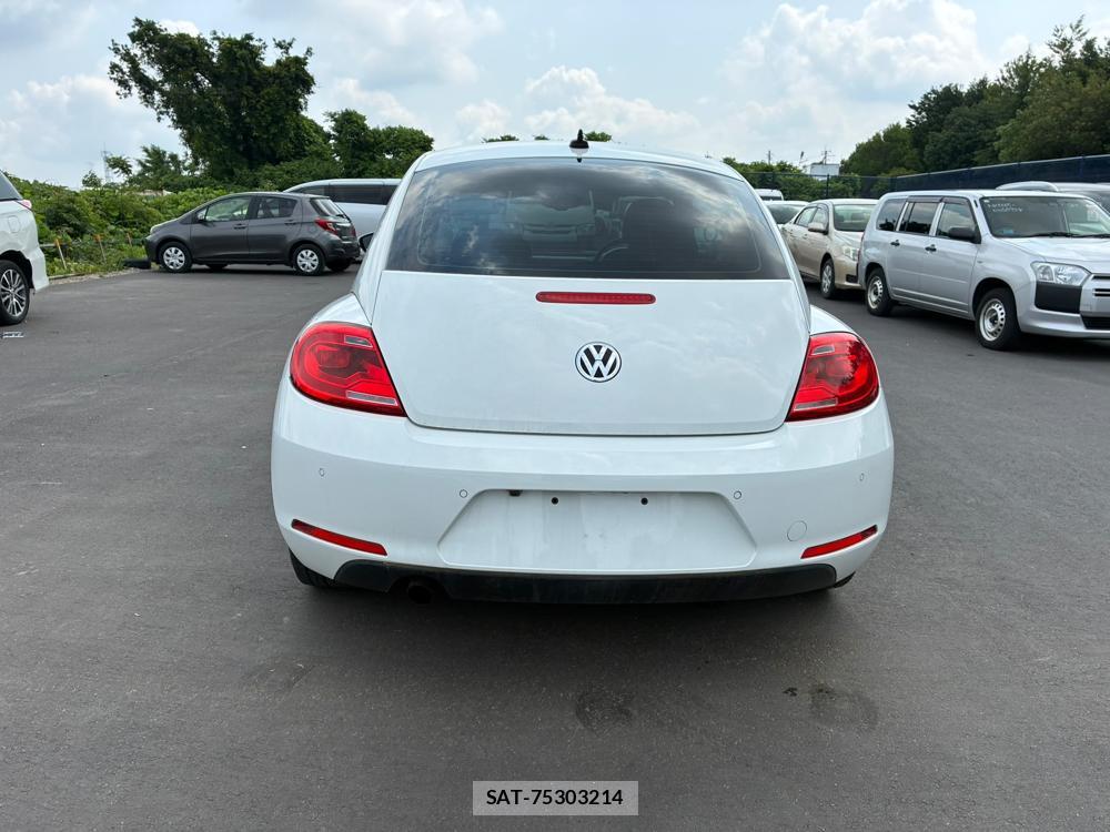 VolksWagen BEETLE 2015 7266925-3