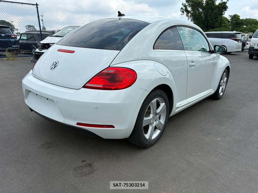VolksWagen BEETLE 2015 7266925-4