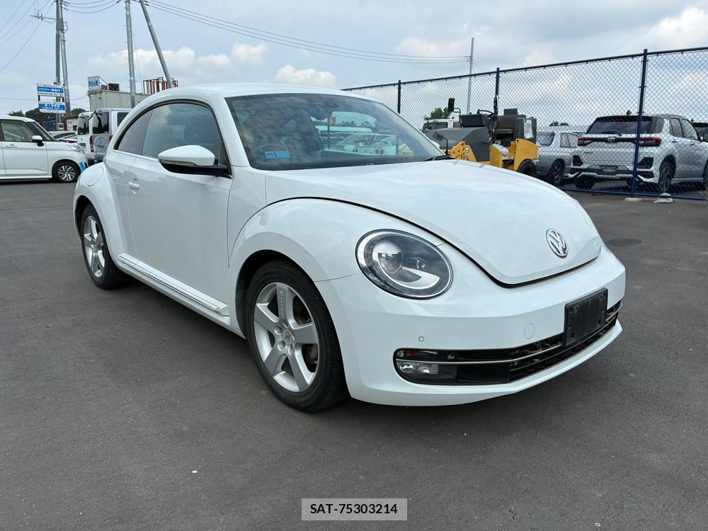 VolksWagen BEETLE 2015 7266925-6