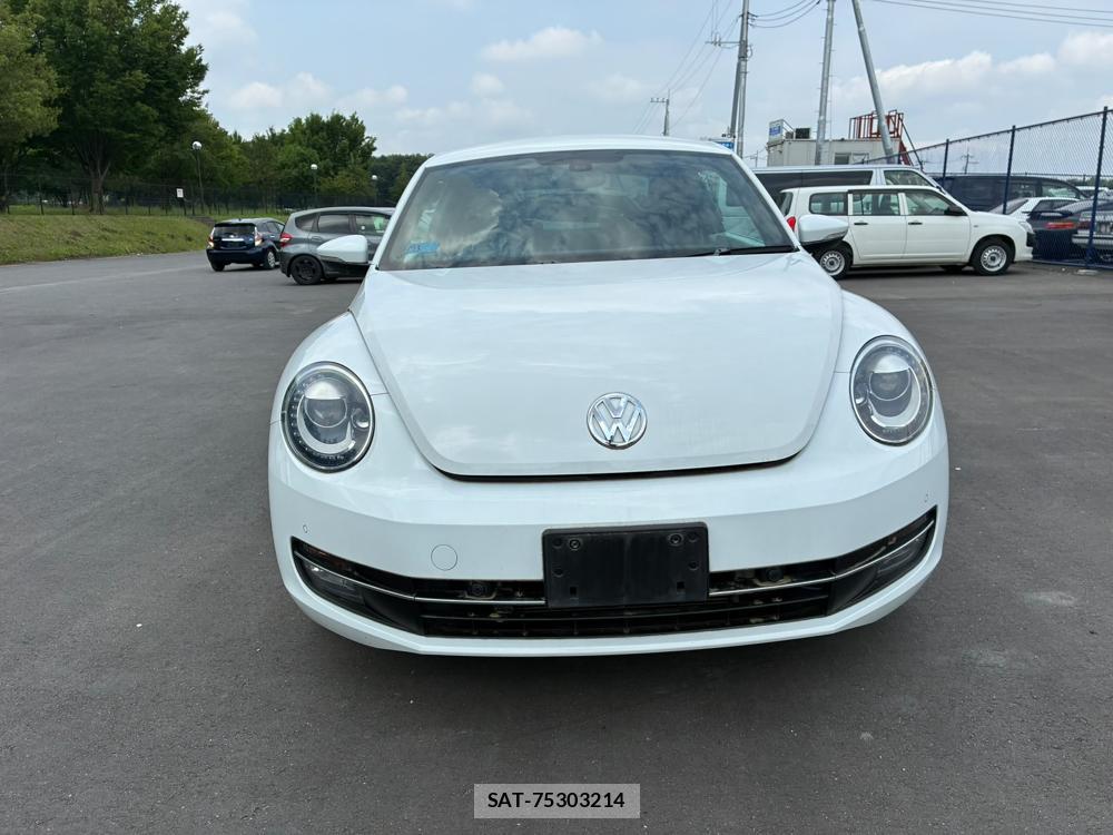 VolksWagen BEETLE 2015 7266925-7