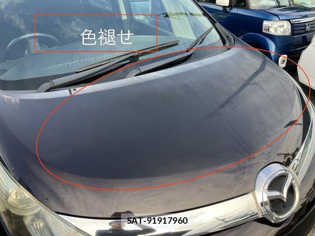 Mazda BIANTE 2011-07 7615151-10