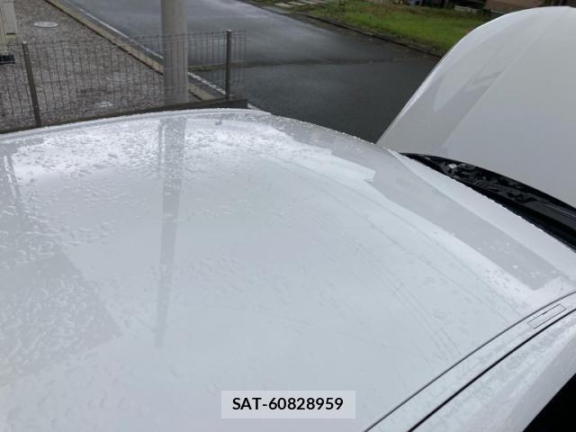 Bmw 1 SERIES 2019-12 8740787-11