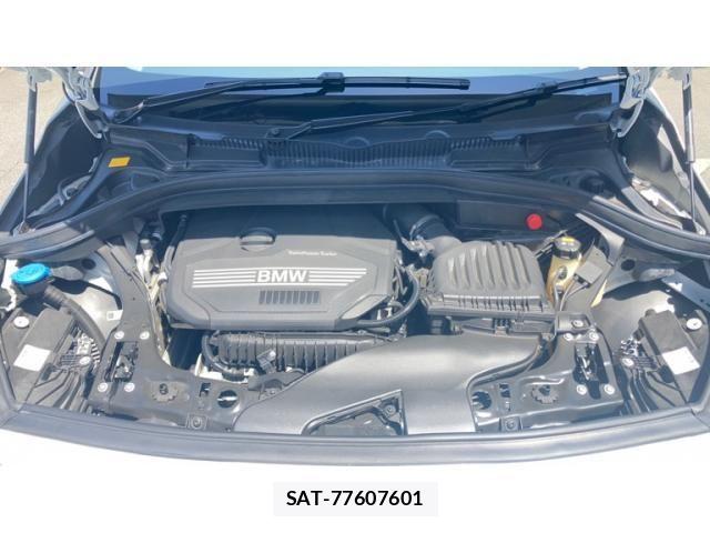 Bmw 2 SERIES 2019-07 6902534-29