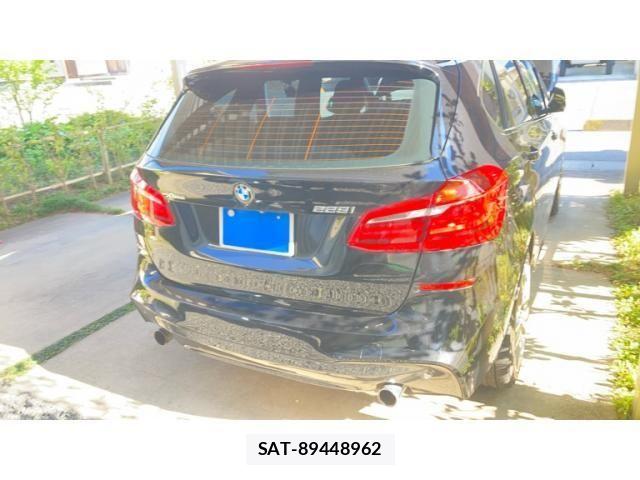 Bmw 2 SERIES 2016-01 6902535-10