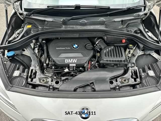 Bmw 2 SERIES 2016-06 7391471-29