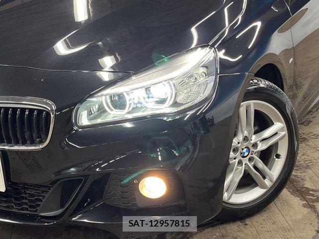 Bmw 2 SERIES 2015-08 7721257-12