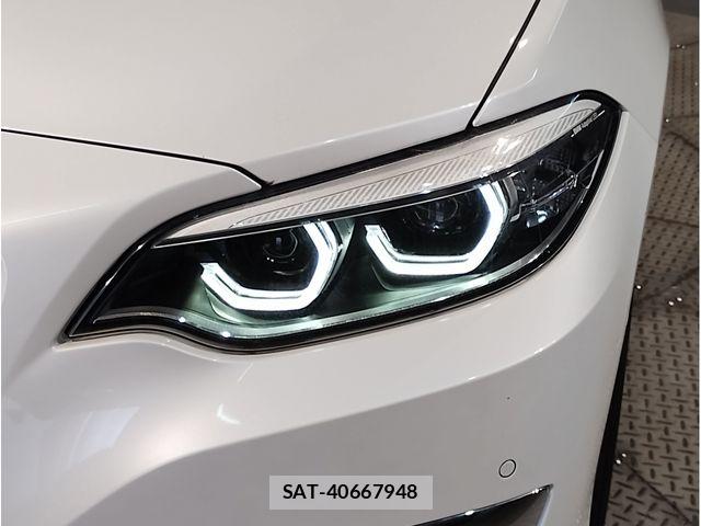 Bmw 2 SERIES 2019-03 7325878-10