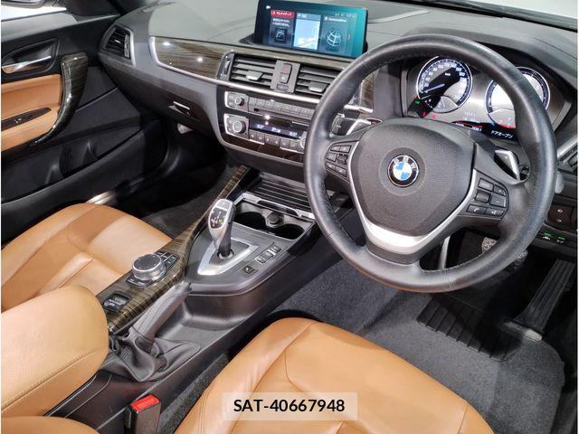 Bmw 2 SERIES 2019-03 7325878-11