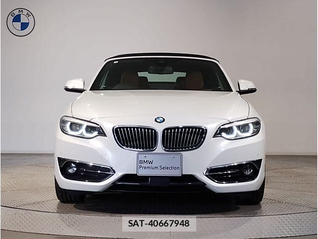 Bmw 2 SERIES 2019-03 7325878-19
