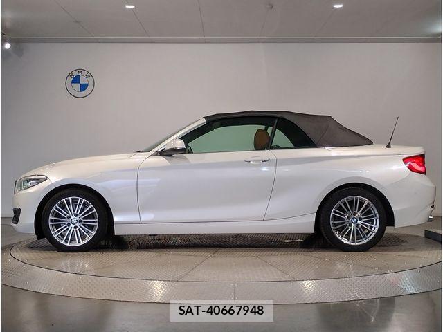 Bmw 2 SERIES 2019-03 7325878-22