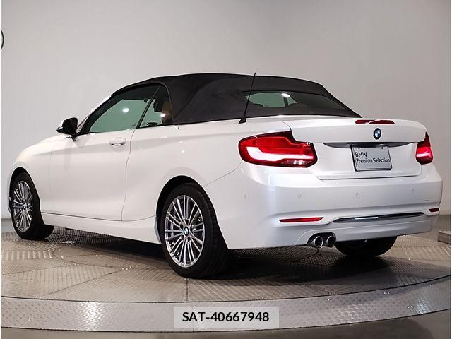 Bmw 2 SERIES 2019-03 7325878-23