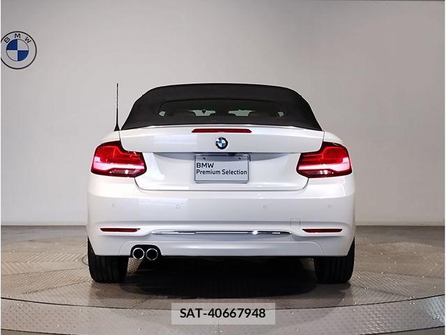 Bmw 2 SERIES 2019-03 7325878-24