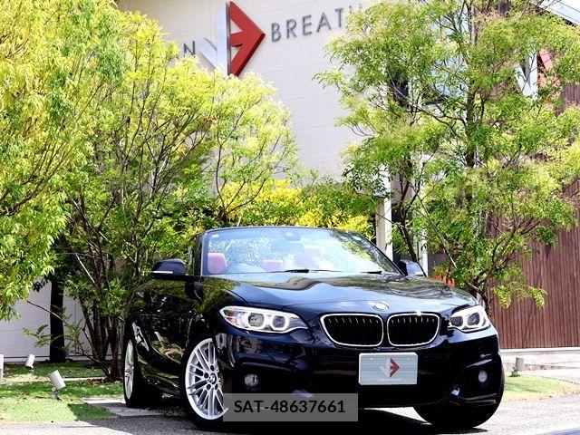 Bmw 2 SERIES 2017-06 8313282-0