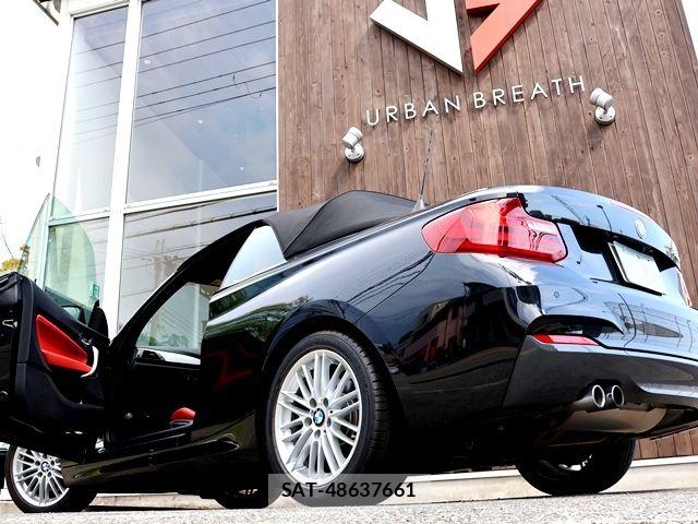 Bmw 2 SERIES 2017-06 8313282-9