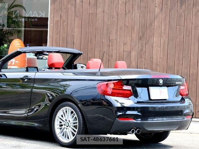 Bmw 2 SERIES 2017-06 8313282-10