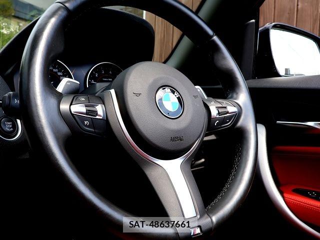 Bmw 2 SERIES 2017-06 8313282-16