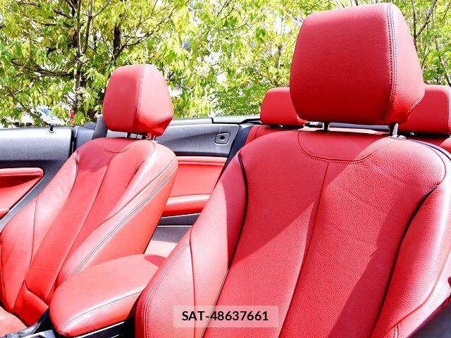 Bmw 2 SERIES 2017-06 8313282-26