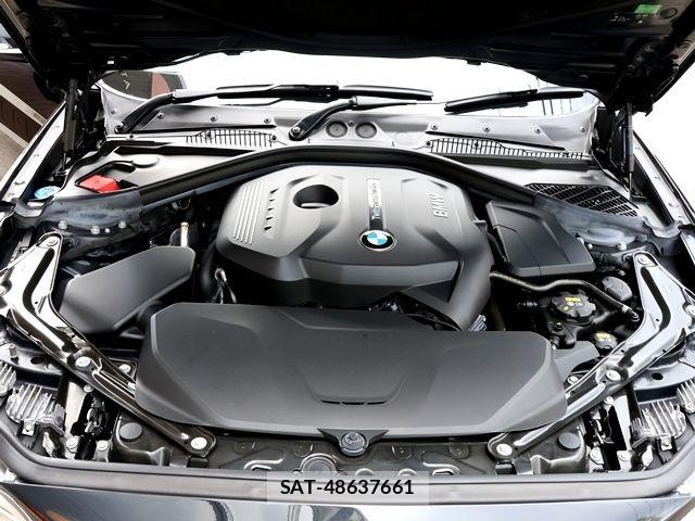 Bmw 2 SERIES 2017-06 8313282-29