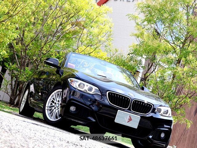 Bmw 2 SERIES 2017-06 8313282-3