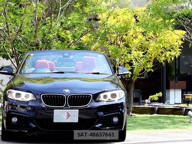 Bmw 2 SERIES 2017-06 8313282-4
