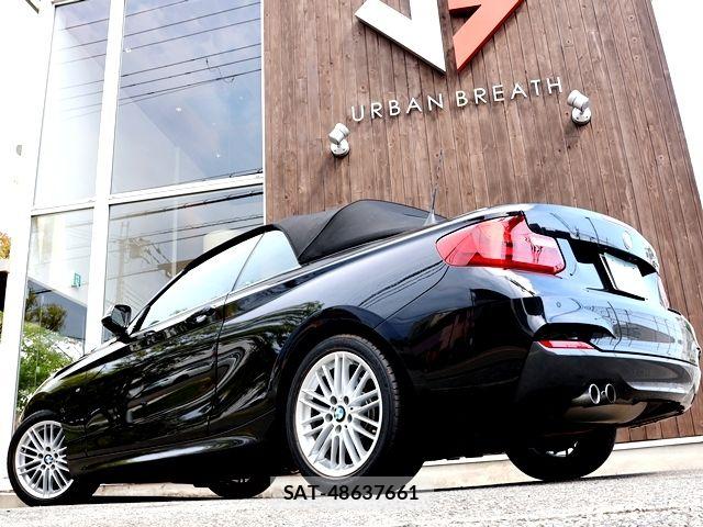 Bmw 2 SERIES 2017-06 8313282-8