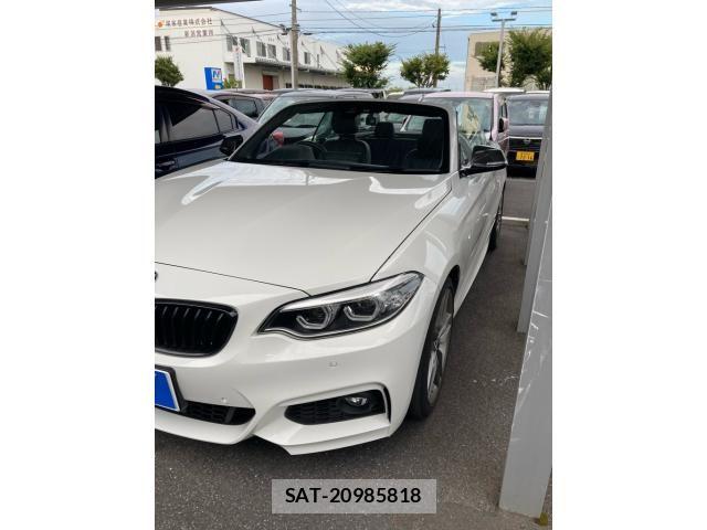 Bmw 2 SERIES 2019-05 8523710-1