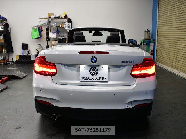 Bmw 2 SERIES 2018-02 8795352-25