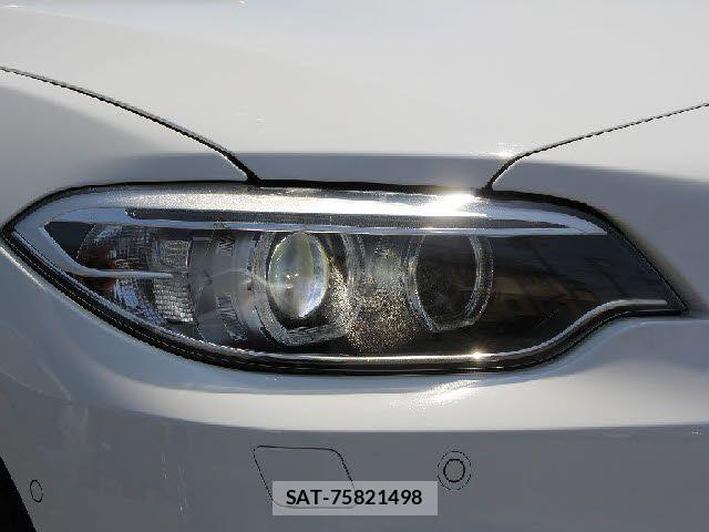 Bmw 2 SERIES 2015-12 7561870-10