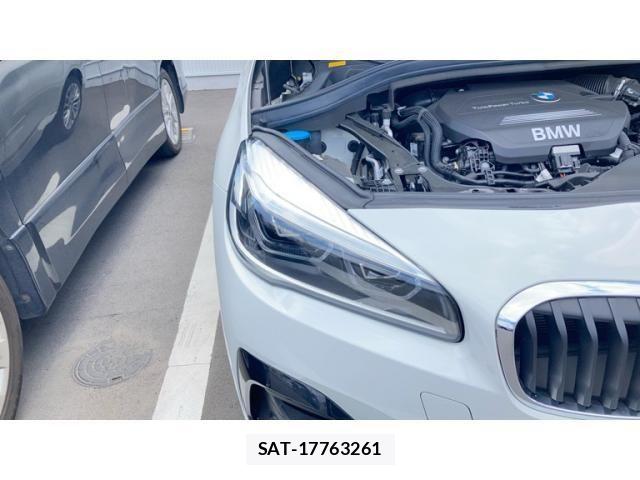 Bmw 2 SERIES 2018-12 7356972-25