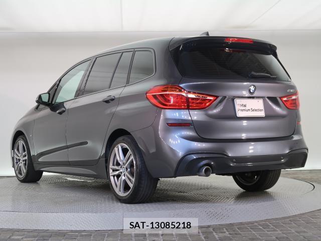Bmw 2 SERIES 2021-08 8098180-15