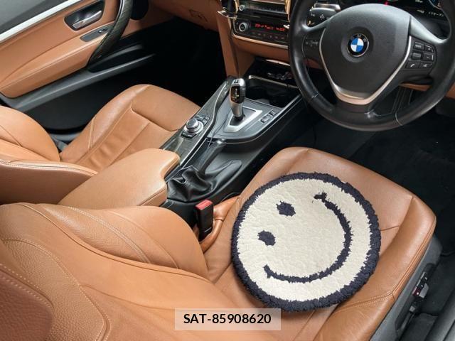 Bmw 3 SERIES 2014-03 7391474-10